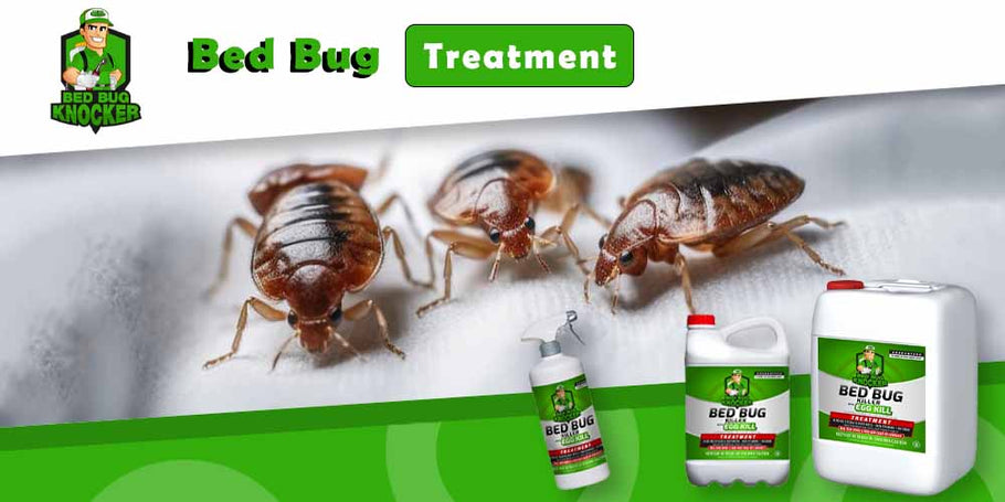 Which Bed Bug treatment product is safe for human health?