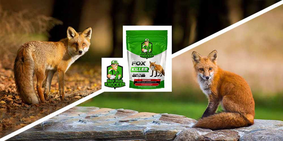 Looking for an innovative solution to deter foxes and protect your property?