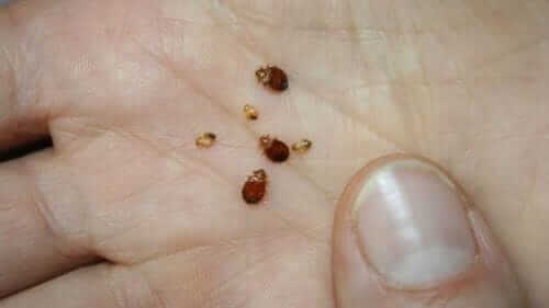 Image #1 from Alberto S.