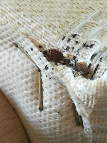 Image #1 from Eugenia E.