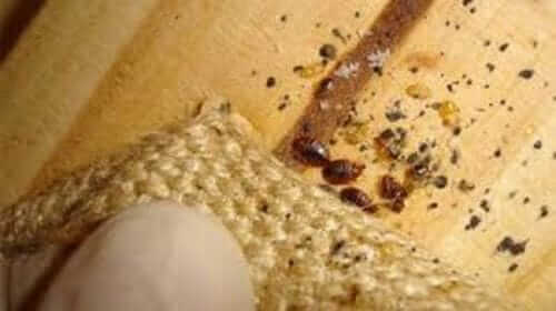 Image #1 from Angelos R.