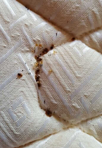 Image #1 from Nathalie N.