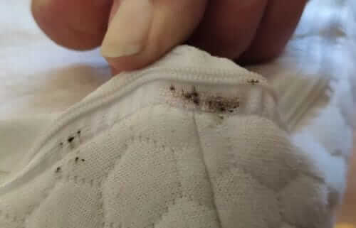 Image #1 from Jones J.