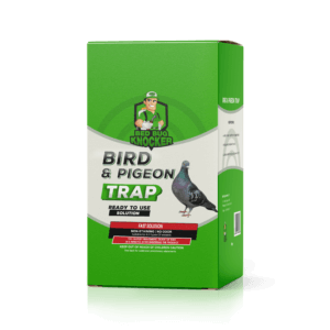 Bird and Pigeon Trap